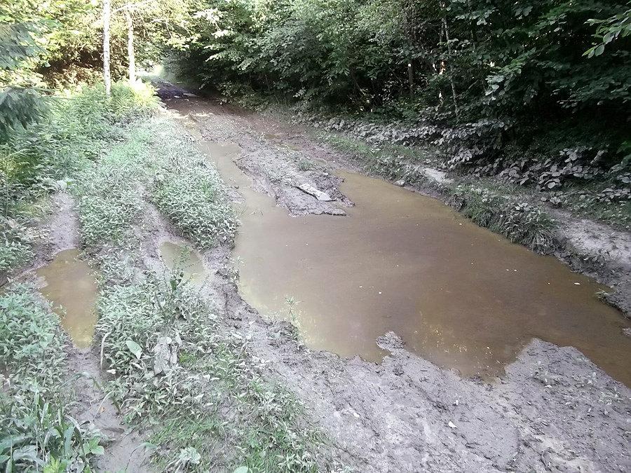 Błotnista sekcja