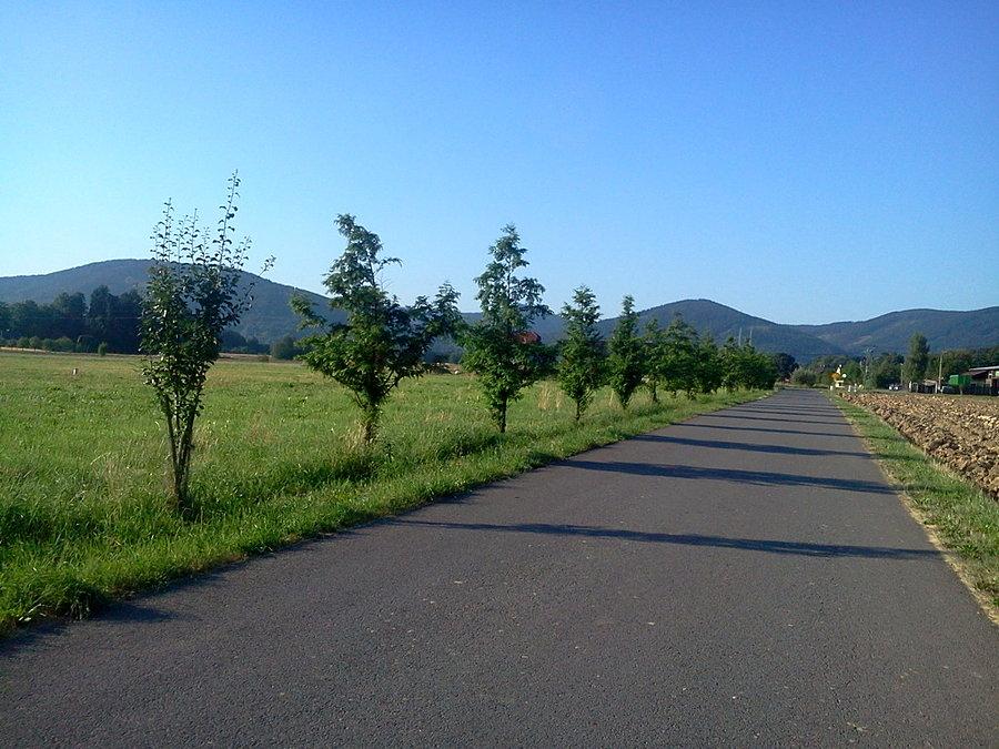 W kierunku gór