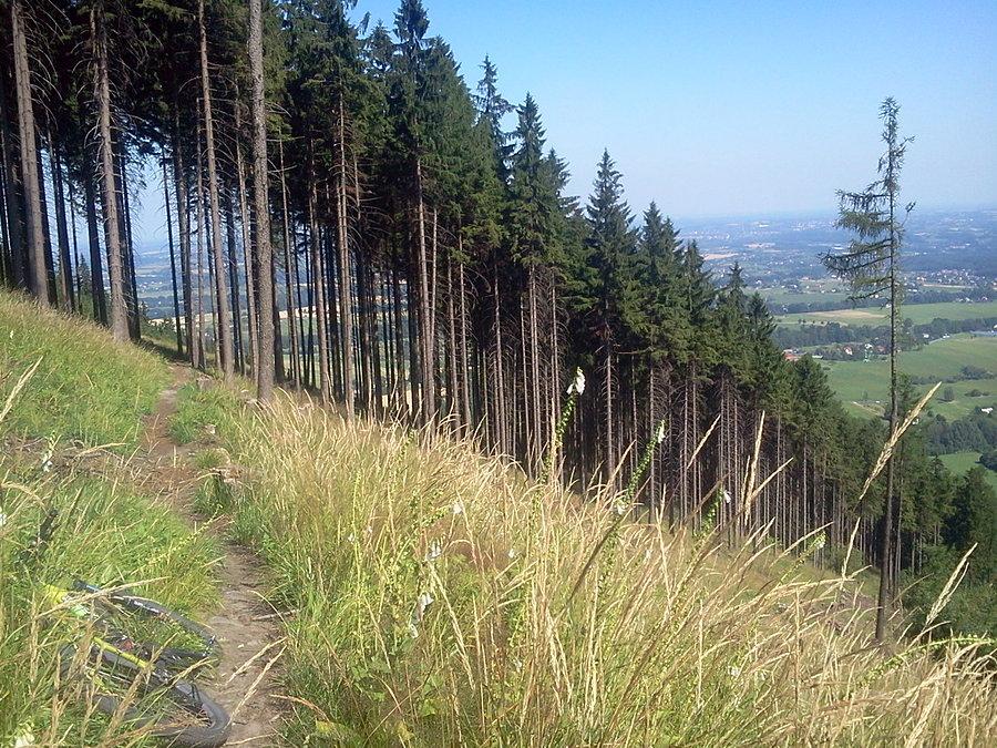 Stary niebieski szlak