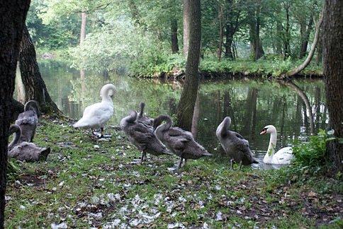 Czas na poranną toaletę
