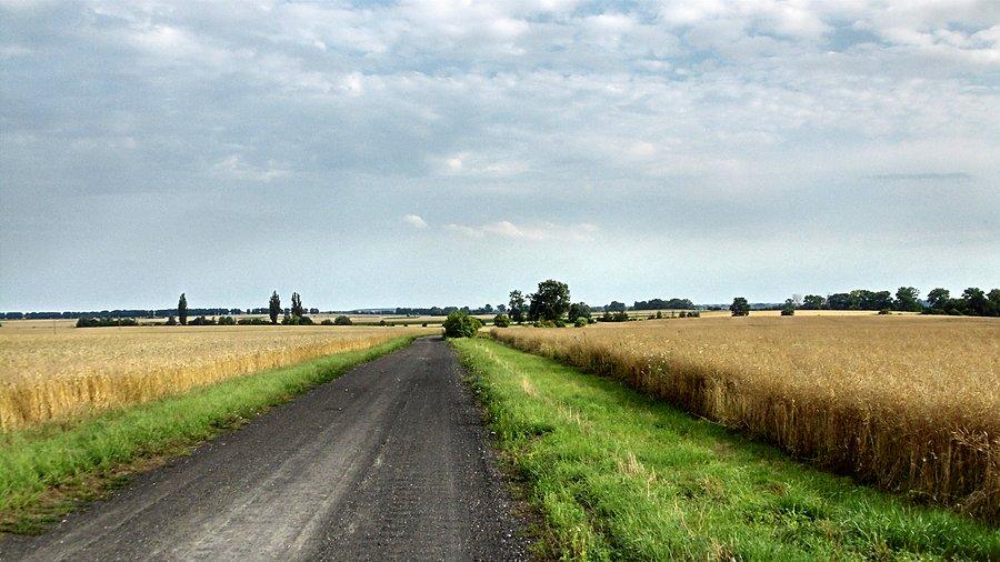 "tarką" do Wierzbna :)