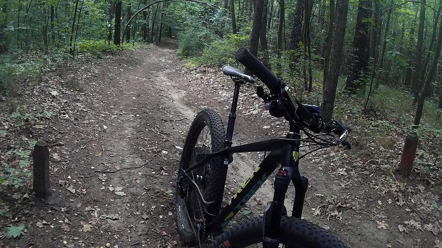Trek Stache w lesie ruda