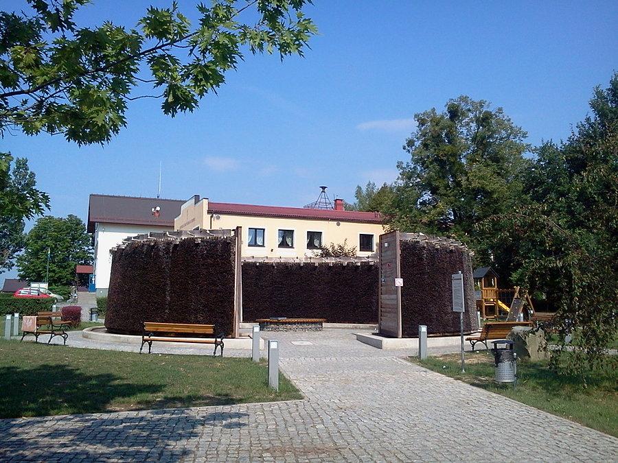 Debowiec solanka