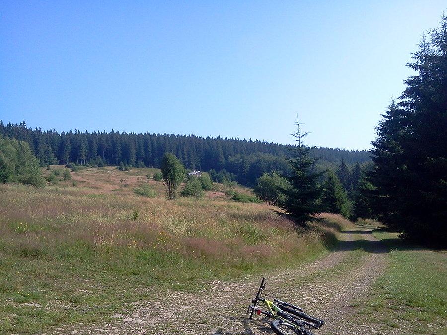 Widok na polanę od schroniska