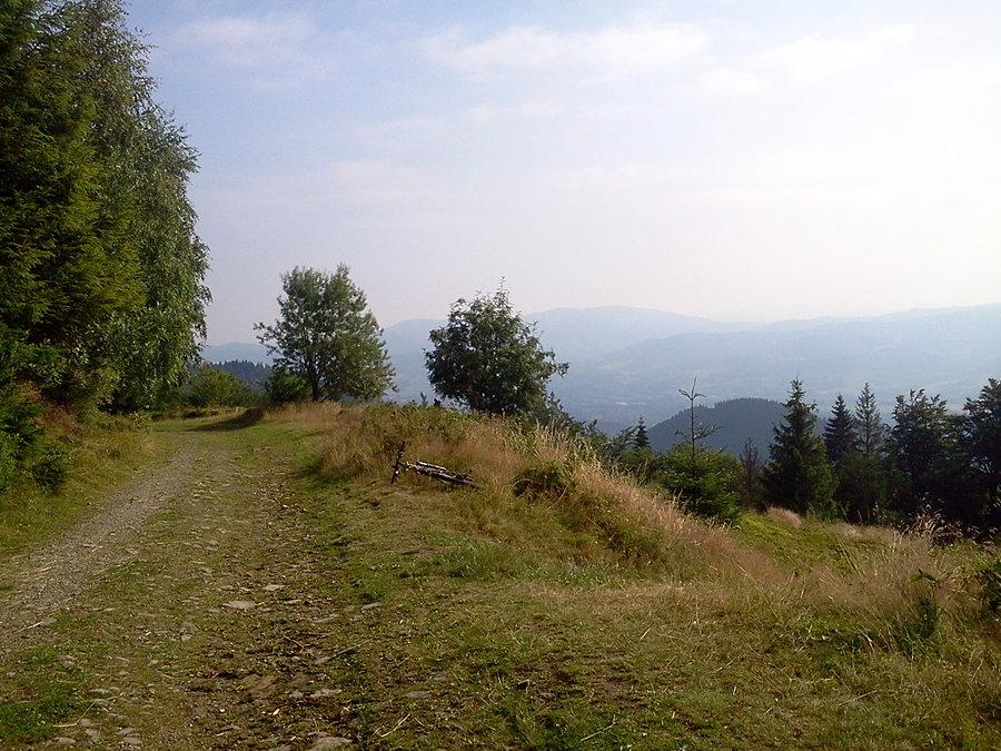 Na zjeździe