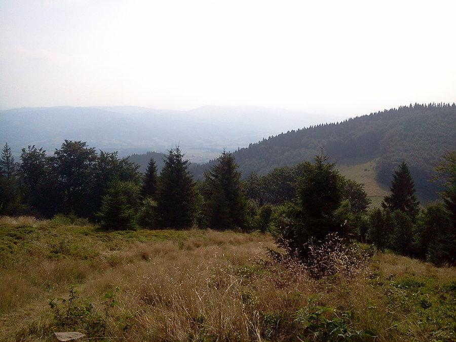 Borówkowe Eldorado II