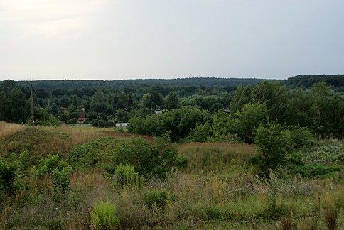 Wapienniki tomaszowskie
