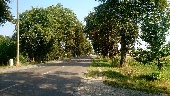 Szosa Bychawa Lublin