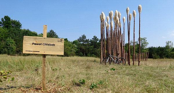 Paweł Chlebek / Żniwo