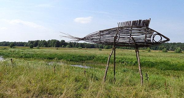 Rumen Dimitrov (Bułgaria) / Fishes passage
