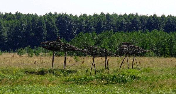 Rumen Dimitrov (Bułgaria) / Fishes passage