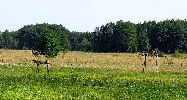 Rumen Dimitrov (Bułgaria) / Fishes passage