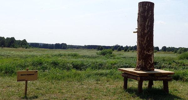 Marcin Sudziński / Święte miejsce