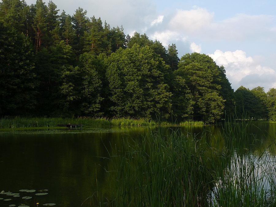 Jezioro Kośno