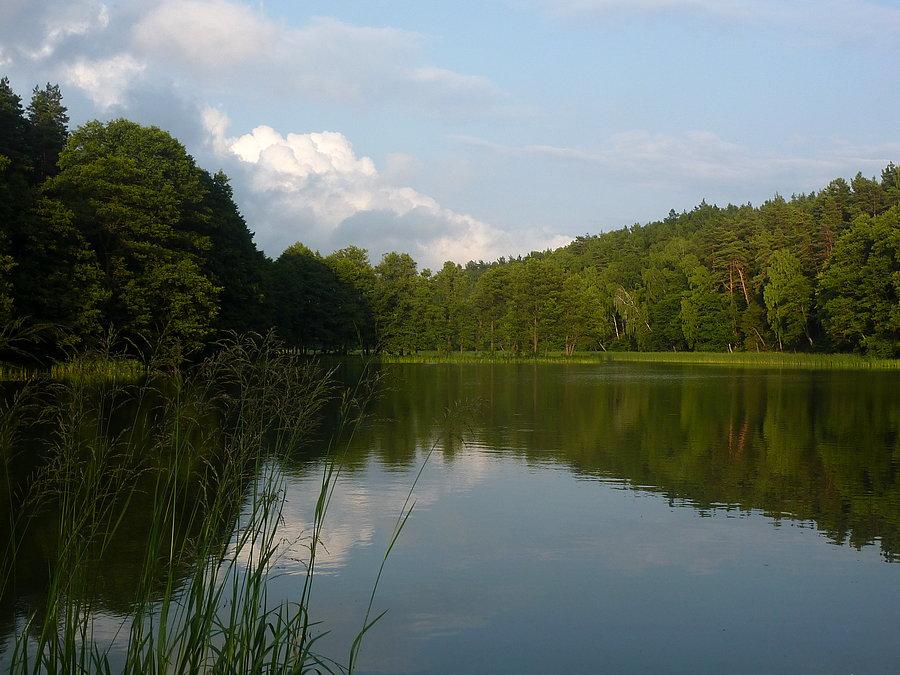 Jezioro Kośno. Łajs