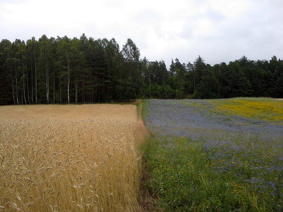 Kaszubskie widoki