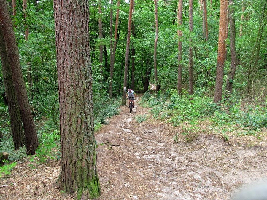 Na czerwonym szlaku - OOŚ Karpaty