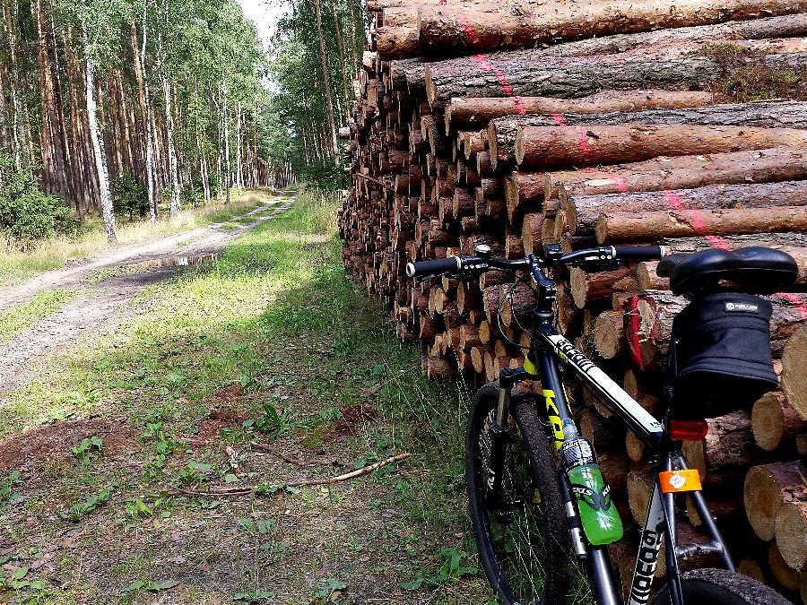 Czas na przerwę i przekąski