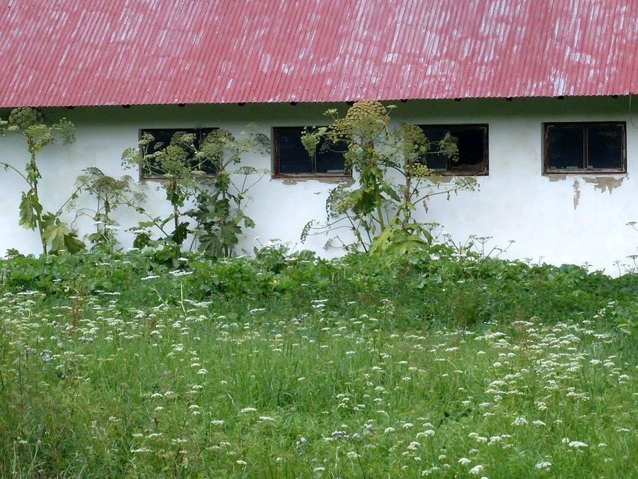Urok PGRu