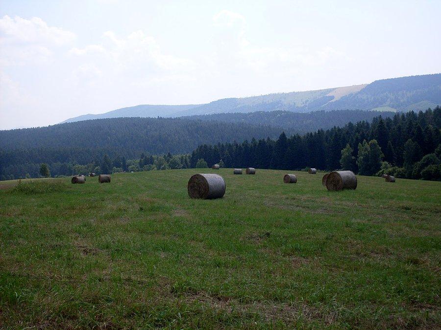 Snopki