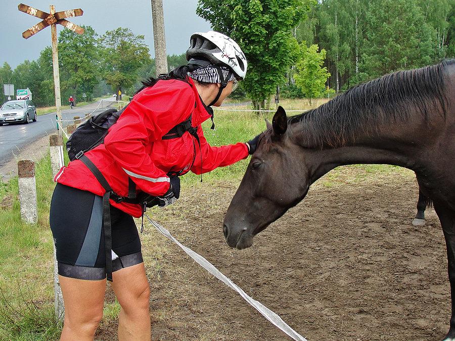 Browar Przystanek Tleń. Wracamy do domu