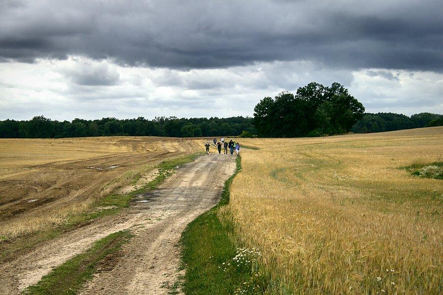 Piechurzy na szlaku