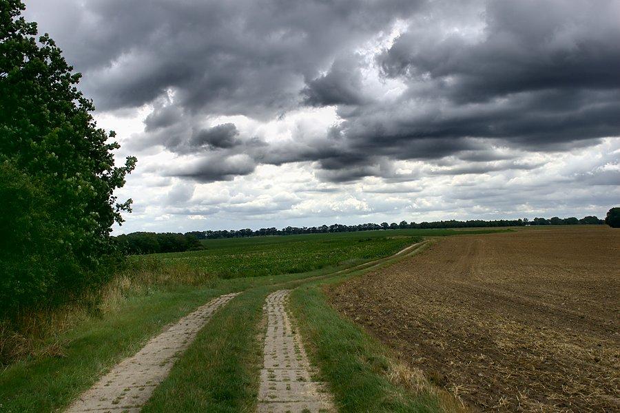W drodze do Megalitów