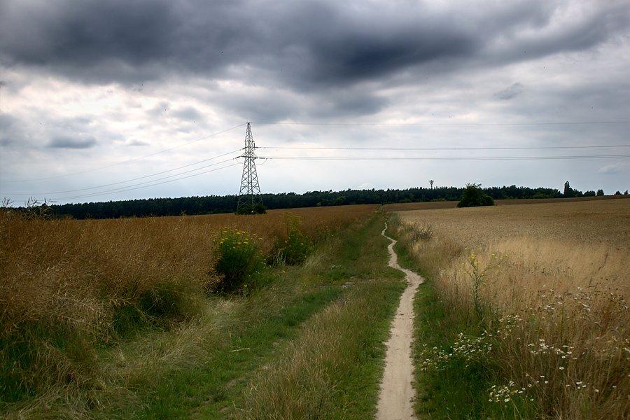 Ulubioną ścieżką do Grzędzic