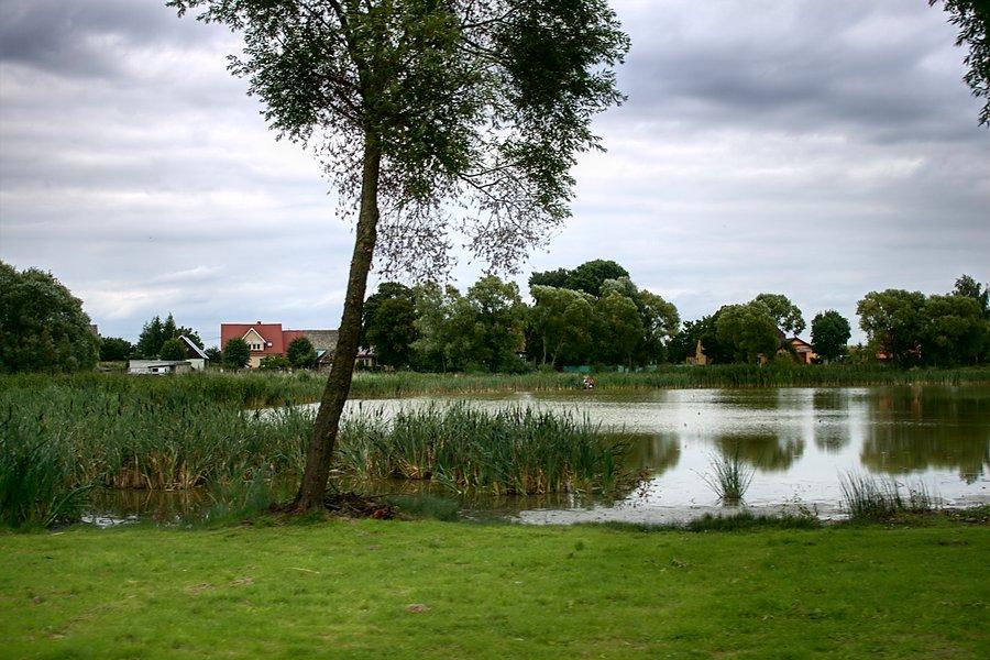 Staw w Grzędzicach