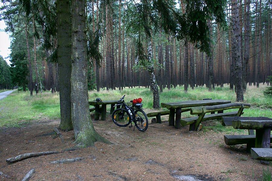 Przerwa na skraju Reptowskich Torfowisk