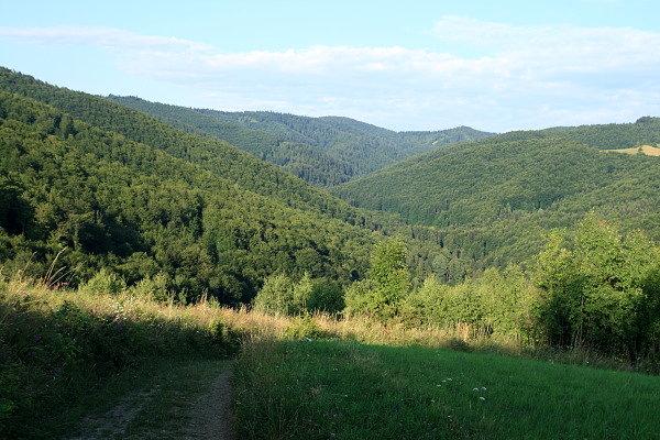 Dolina Życzanowskiego Potoku