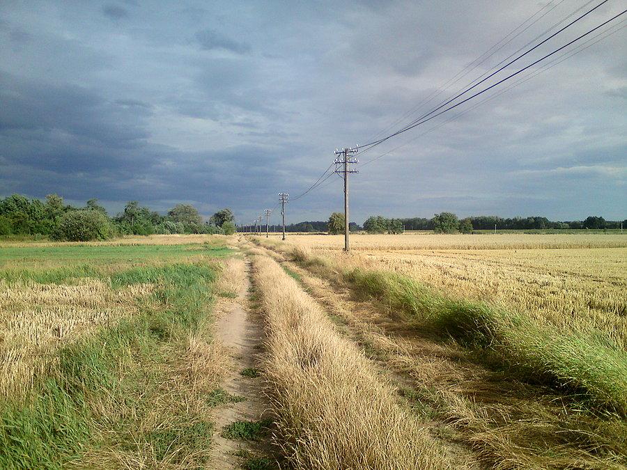 Popołudnie na polach