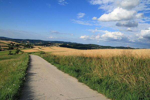 Widok spod Kobylnicy