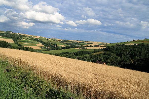 Wzgórza nad Przydonicą