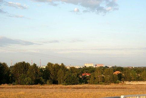 Miasto na horyzoncie zakryte zielenią
