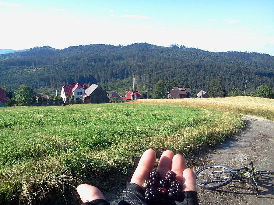 Są już ostrężyny