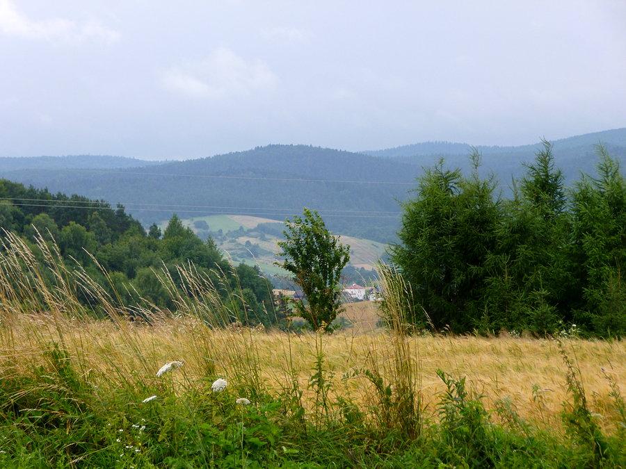 Pogórze Przemyskie