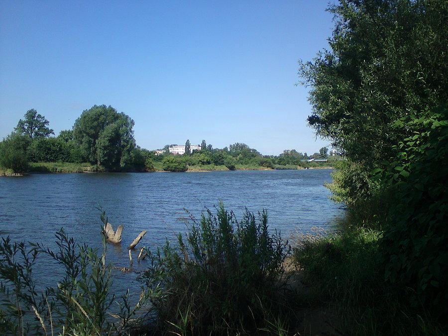 Odra w okolicach wrocławskiego ZOO
