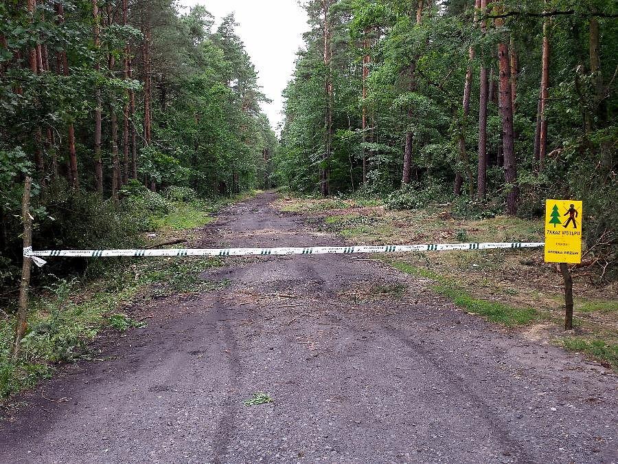 Wjazd na rowerostradę