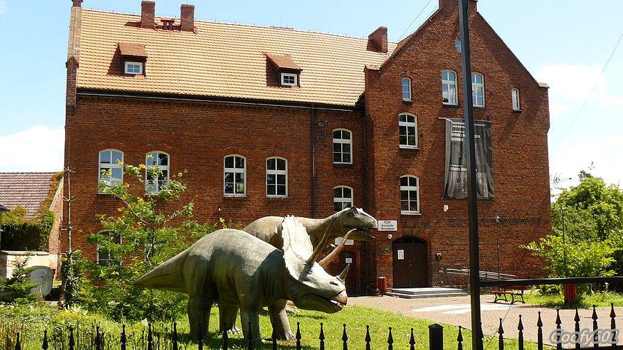 Muzeum paleontologiczne :)