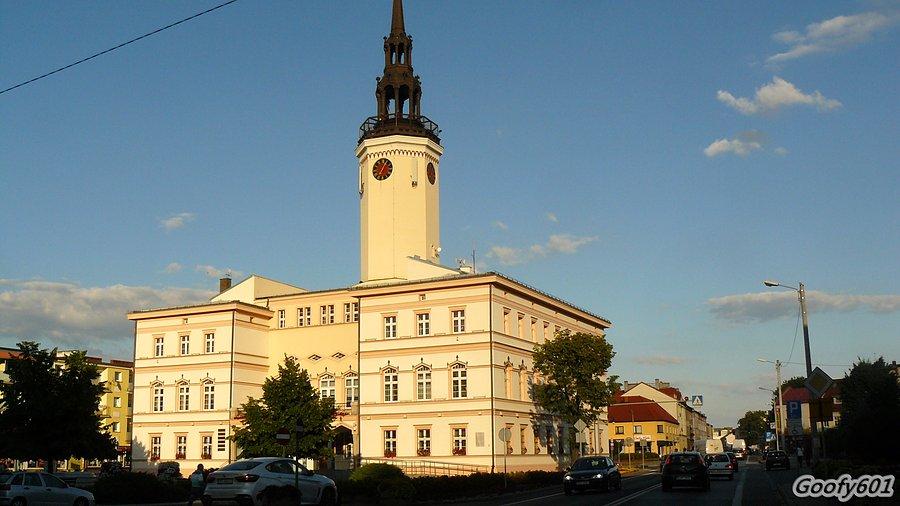Ratusz w Strzelcach Opolskich