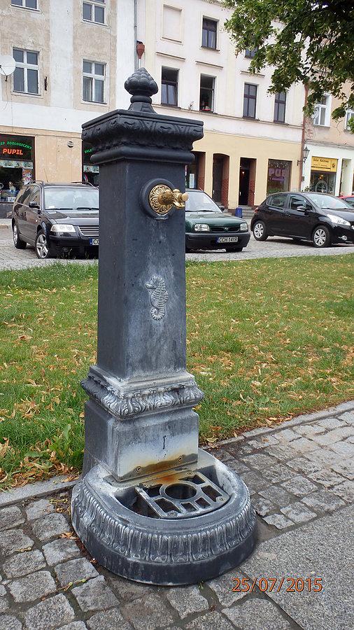 Chełmno. Rynek. Publiczna studnia - mój wodopój i łazienka
