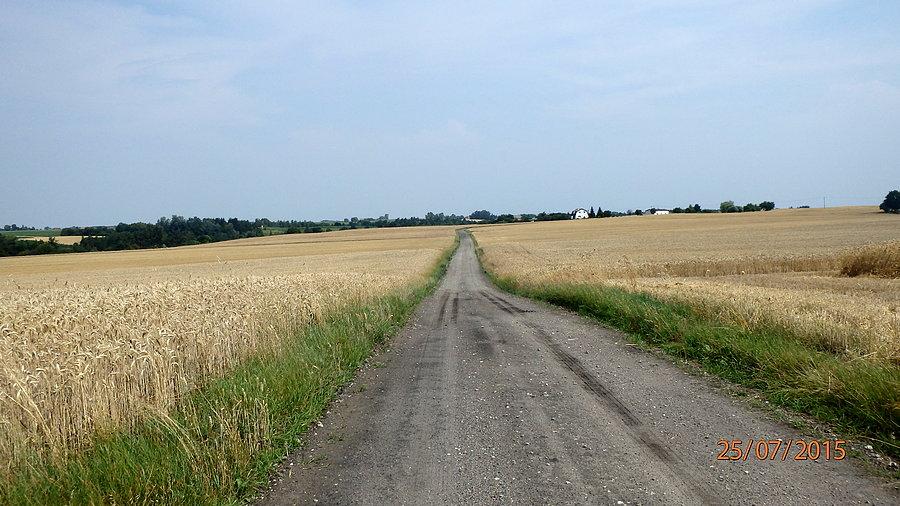 Taką drogą też da się jechać. Okolice Trzeciewca (Suponin - Topolno)