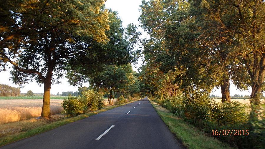 Droga Sochaczew - Bolimów
