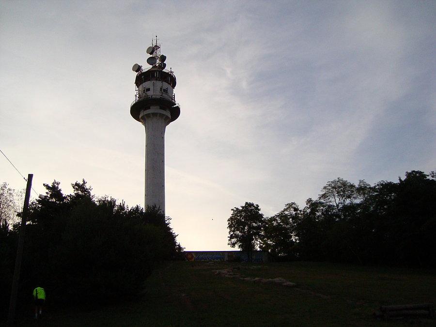W Żerkowie