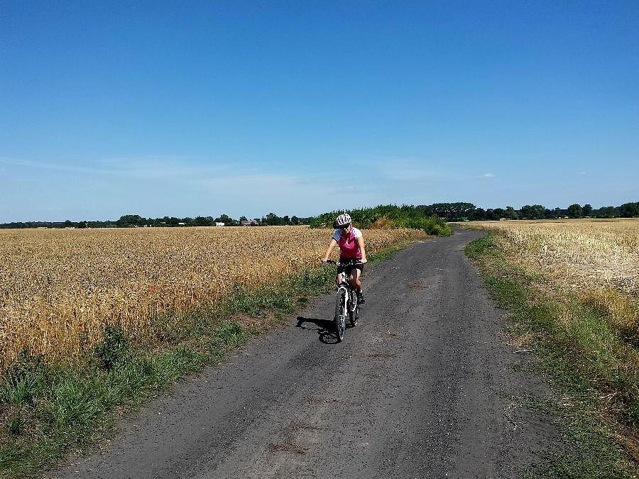 Droga z Dębicy do Wierzbna
