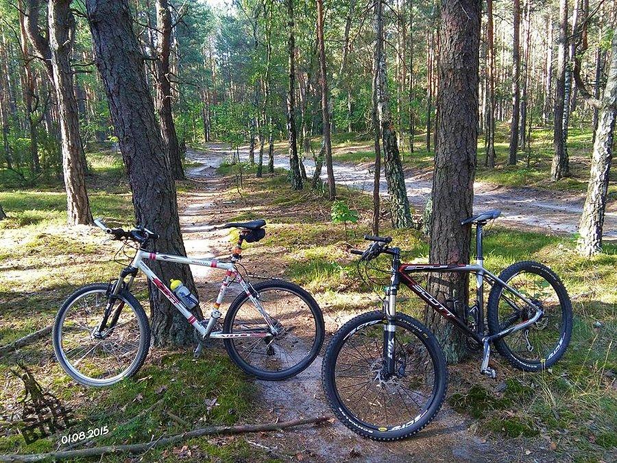 Kampinos