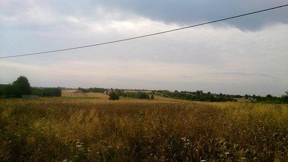 Pola w Jabłonnej