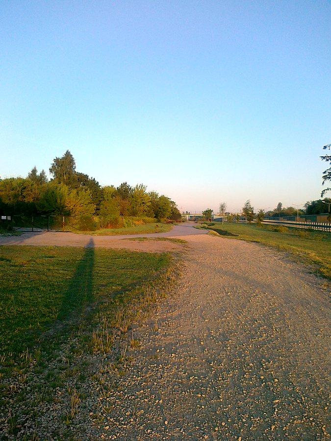 Szutrówka przy S8