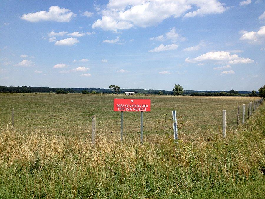Obszar Natura 2000 - Dolina Noteci